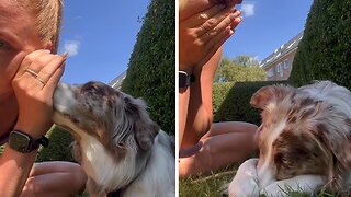 Pup Gets Adorably Shy After Owner Shares A Secret With Her