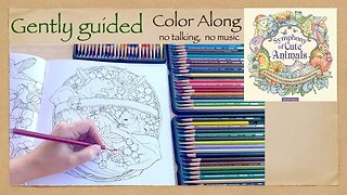 Gently Guided Calming Coloring Along "Symphony of Cute Animals" by Kanoko Egusa, no talking ASM