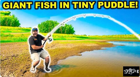 Catching GIANT FISH in a TINY POND (Catch, clean, and cook)