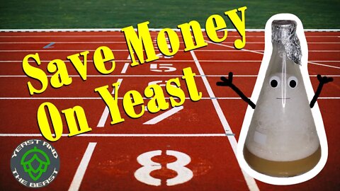 How To Overbuild A Yeast Starter | YB How to Ep. 1