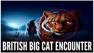 My Real Horror Story: British Big Cat Encounter