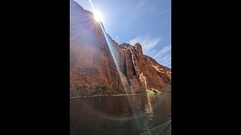 BIGHORN! sheep SWIMS!!! COLORADO river AZ