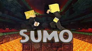 Fight to the death😲(Minecraft Sumo)