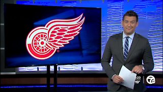 Red Wings game against Ducks postponed until Sunday