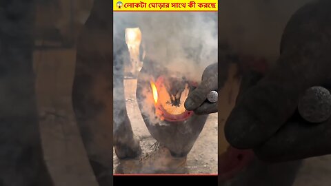 Horse Hoof Trimming Bangla