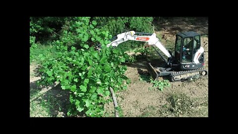 DAY 2 & Drone vids, Clearing trees with mini excavator for pond; Bobcat e42 R series