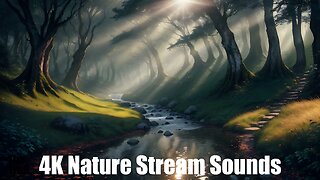 Ambient Nature Stream Sounds - Sunrise Forest | (AI) Audio Reactive Cinematic | Beginning