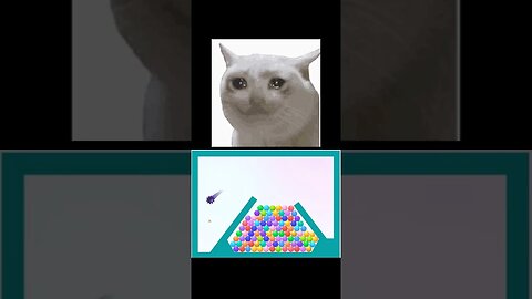 Sad cat Bad Ending