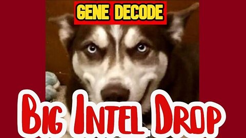 Gene Decode Big Intel Drop AUG 7!