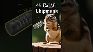 Chipmunk Control #shorts