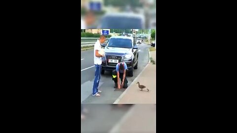 These cops did their best for a mama duck ❤️