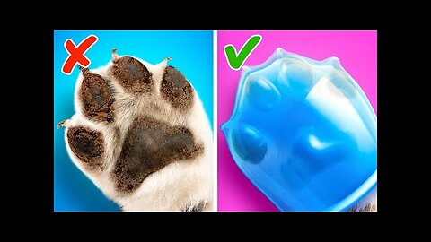 AMAZING HACKS AND GADGETS FOR PETS || HD