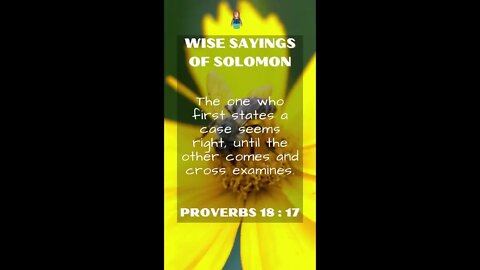 Proverbs 18:17 | NRSV Bible - Wise Sayings of Solomon