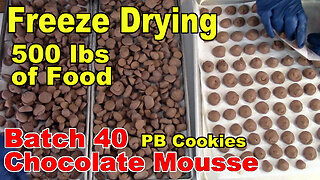 Freeze Drying Your First 500 lbs of Food - Batch 40 - Chocolate Mousse & PB Chocolate Chip Cookies