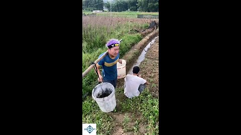 #viral funny videos chaines comedy 🤣😂 funny @viral 🤣 short video #plsesupport and follow