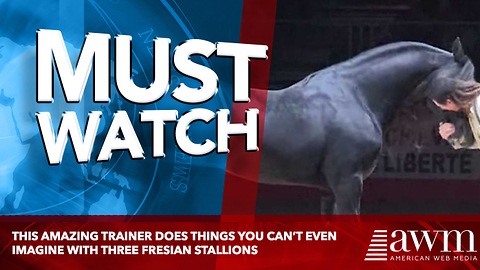 This Amazing Trainer Does Things You Can't Even Imagine With Three Friesian Stallions