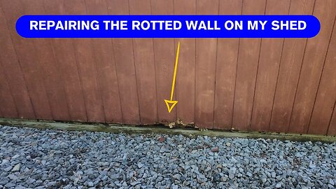 Repairing the rotted wall on my shed