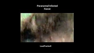 Paranormal Infested Forest- LeadTrackerE