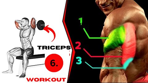 Best 6 Exercises For Triceps | Triceps Workout At Gym | Killer Triceps Exercises | Effective Workout