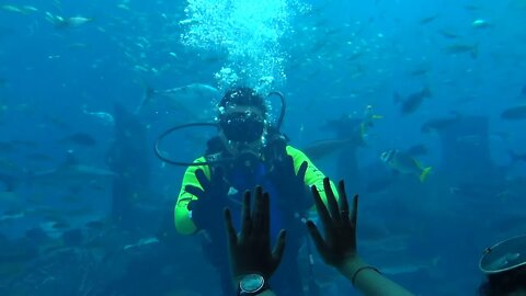 Diver plays with viewers after feeding fishs