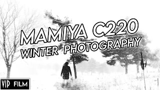 Winter FILM Photography Mamiya C220 and Washi F - Landscape Photography film