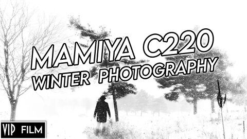 Winter FILM Photography Mamiya C220 and Washi F - Landscape Photography film