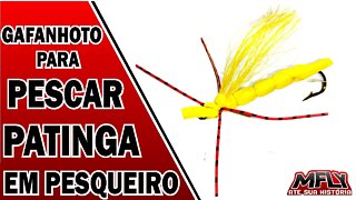 ISCA PARA PESCA PATINGA EM PESQUEIR - GAFANHOTO PARA