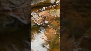 Water creating a whirlpool in a stream