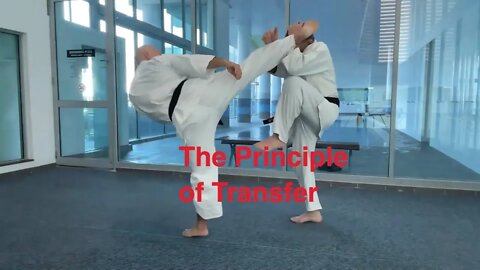 The concept of Transfer. What does it mean to us in the martial arts?