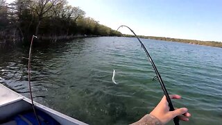 Catching a Rainbow Trout