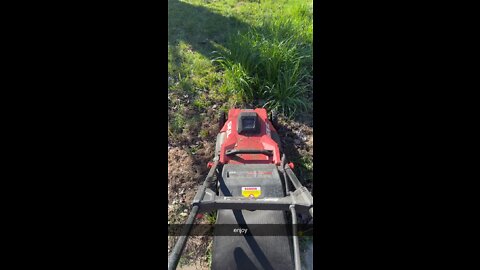 Satisfying Lawn Mowing Video