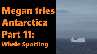 Megan tries Antarctica, Part 11: Whale Spotting