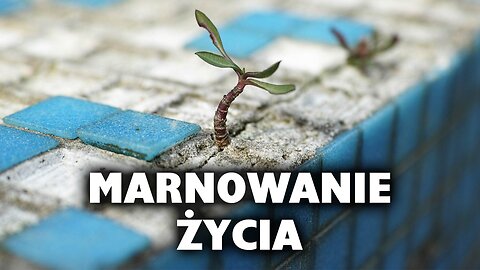 MARNOWANIE ŻYCIA