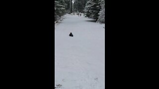 Daredevil on a sled