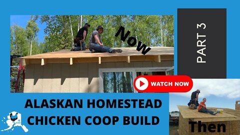 Alaskan Homestead Chicken Coop Build | Part 3 | Modern Homestead Alaska | DIY \ How to build a coop