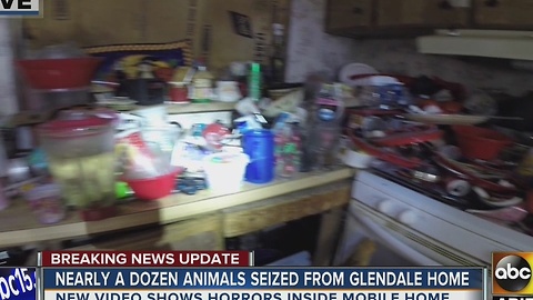 Maricopa County: 13 animals, one dead, found in Glendale mobile home