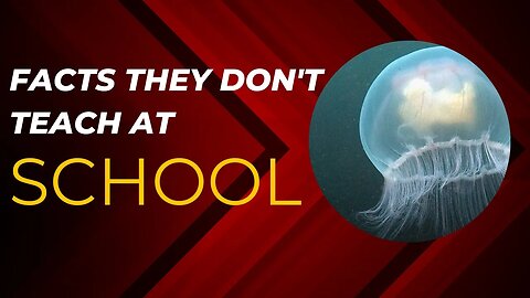 Mind-Blowing Facts They Don't Teach in School: Prepare to Be Shocked!