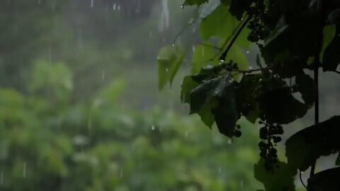 Real rain sounds from the Ozark mountains.