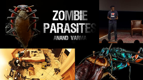 How Anand Varma Captured Zombifying Parasites – (modified host behaviour)