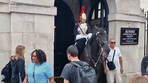 Tourist scream brings the police #horseguardsparade