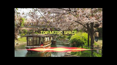 💓🎧Beloved – Sakura Girl (No Copyright Music🎵