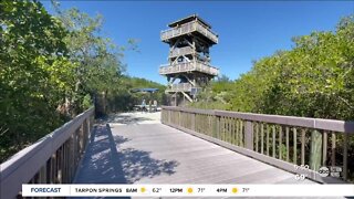 Walking Club: Exploring the Manatee Viewing Center Trails