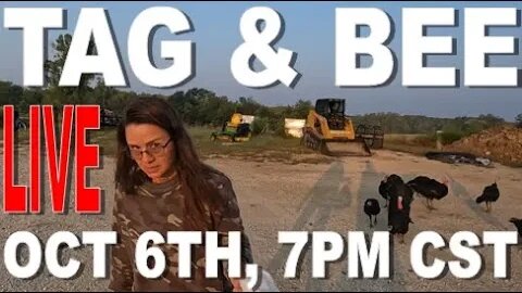 TAG & BEE LIVE