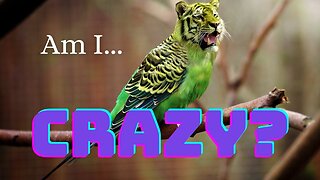 Ep 52 | Am I Crazy??