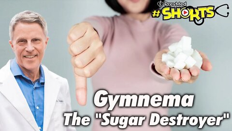 #SHORTS Gymnema - The "Sugar Destroyer"