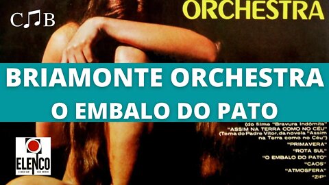 Briamonte Orchestra - O Embalo do Pato