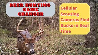 Deer Hunting Game Changer | Cell Phone Scouting cameras for Deer Hunting