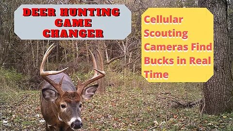 Deer Hunting Game Changer | Cell Phone Scouting cameras for Deer Hunting