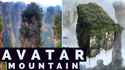 Avatar Mountains in China | Zhangjiajie National Forest Park | China 2019 Day 1| Travel Video Vlog