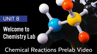 CHM1032L Unit 8 Chemical Reactions Prelab Video